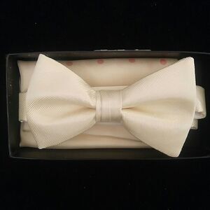 MEN'S LARR BRIO BOW TIE AND HANKY SET